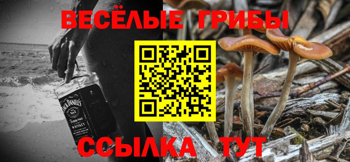 Галлюциногенные грибы MAGIC MUSHROOMS  Вход с VPN  Галлюциногенные грибы мухоморы  Красноуфимск 